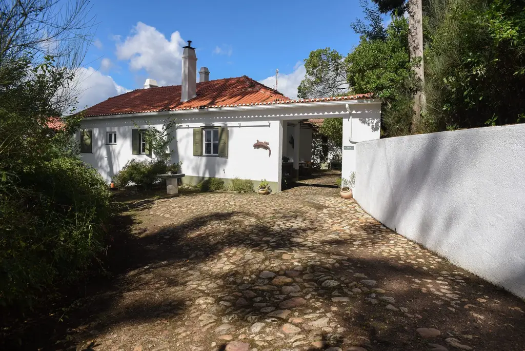 DSC_0067-2048x1367_50